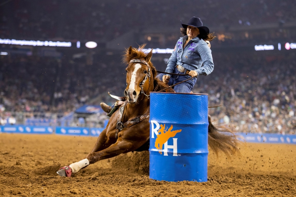 Gear Up for RODEOHOUSTON 2024 The Ultimate Guide to Entertainment and