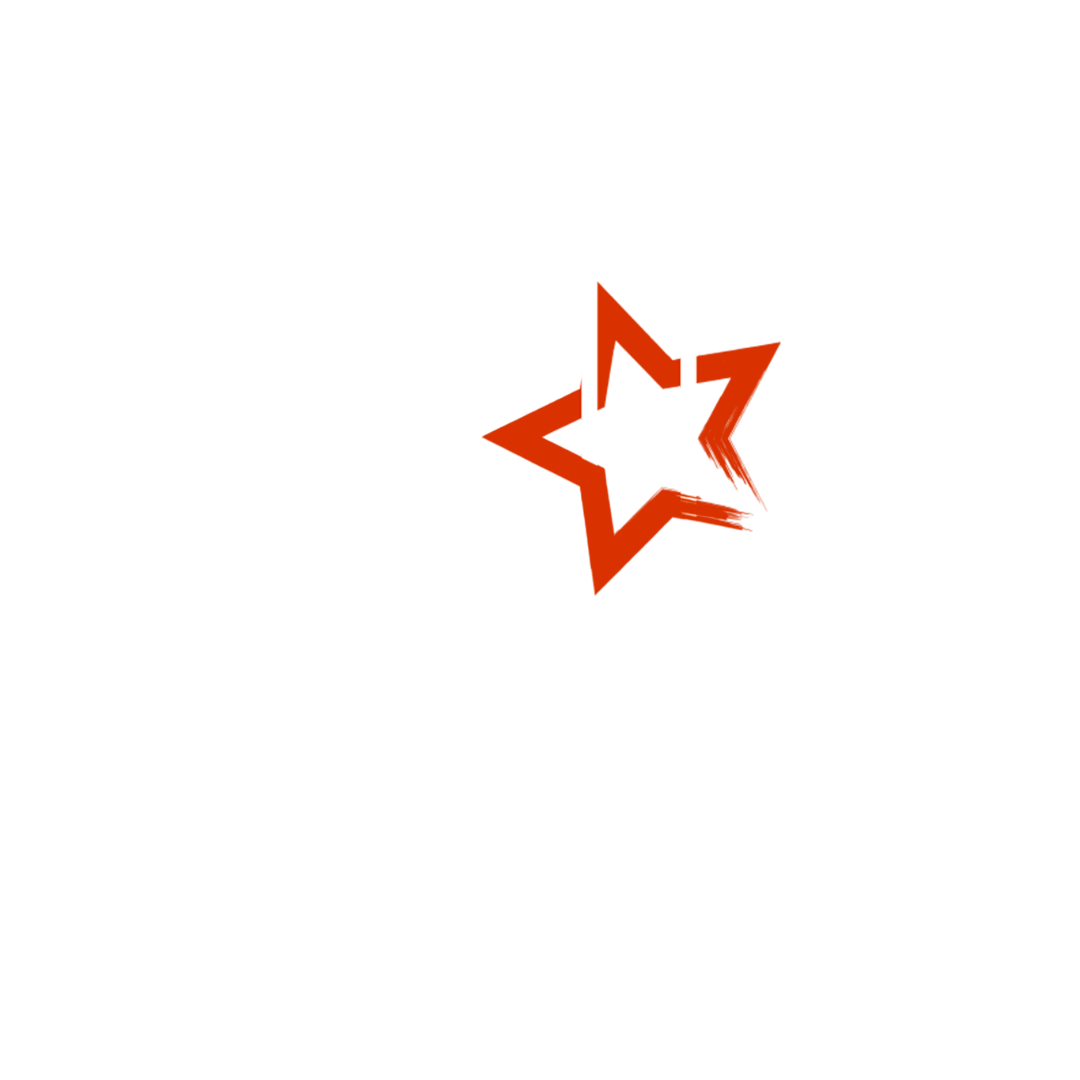 Viva Houston Media